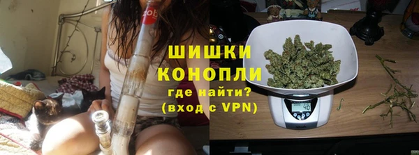 бошки Белокуриха