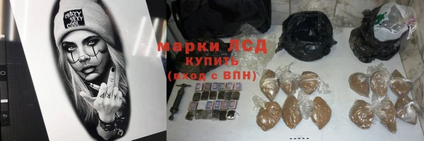 бошки Белокуриха