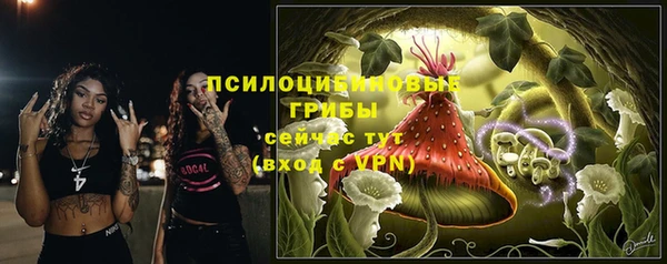 бошки Белокуриха