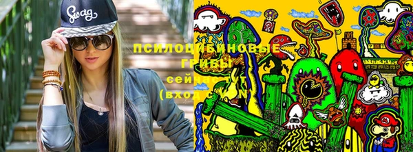 прущие крисы Белоозёрский