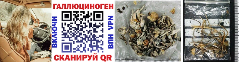 Псилоцибиновые грибы Magic Shrooms Буйнакск