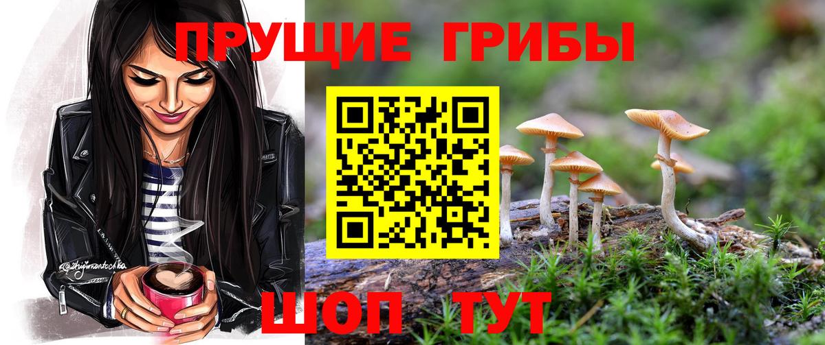 Галлюциногенные грибы ЛСД Буйнакск