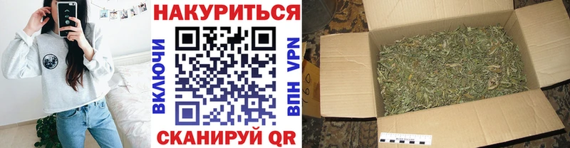 Конопля конопля  Буйнакск 